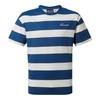 Mens Denali Striped T-Shirt