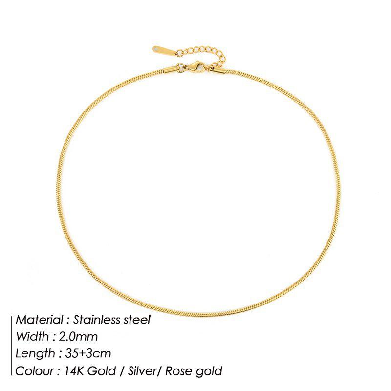 Korean Minimalist Versatile Snake Bone Chain Necklace - Cold Style Stainless Steel Jewelry