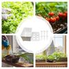 Indoor Hydroponics Growing System 6-Holes Growing Box System Garden Cultivation Box For Vegetables Flowers Fruits Indoor Outdoor