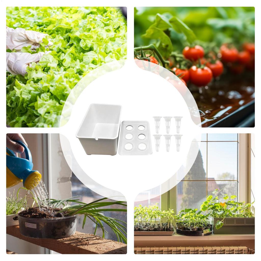 Indoor Hydroponics Growing System 6-Holes Growing Box System Garden Cultivation Box For Vegetables Flowers Fruits Indoor Outdoor