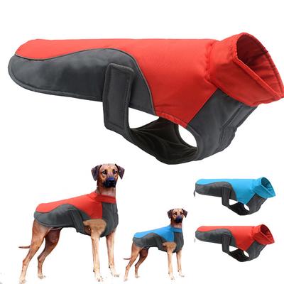 dog jacket price