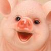 Piggy Banks,Unbreakable Pig Coin Box for Kids,Cute Animal Money Banks Birthday Gift for Boys Girls,Coin Saving Boxes
