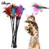 5pcs/set Cat Interactive Wand Colorful Feather Chicken Feather Cat Stick Bell Portable Creative Fashion Novelty Pet Cat Supplies