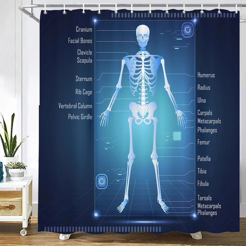 

Medicine Human Body Structure Chart Pattern Bath Shower Curtain Waterproof Decoration Shower Curtains With Hooks Bathroom Screen W90xH180cm