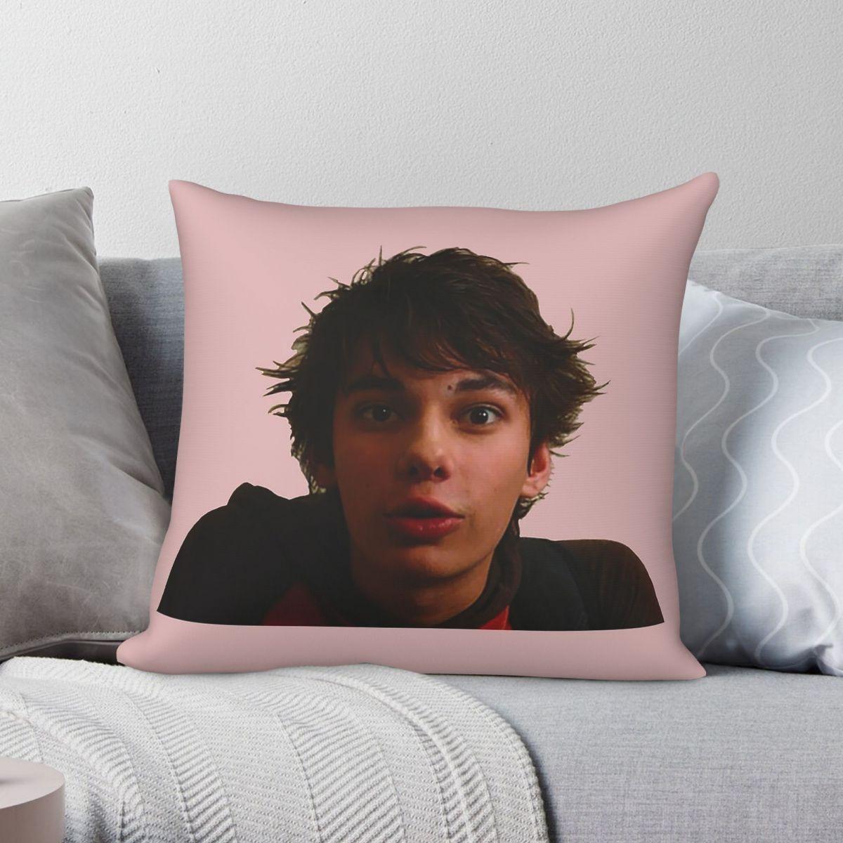 Exquisite Ornaments Unisex Rodrick Heffley Diary Of A Wimpy Kid Square Pillowcase Polyester Linen Velvet Printed Zip Decorative Pillow Case Home Cover