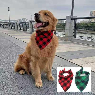 Bekleidung & Schuhe – Hundezubehör