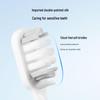 Jingdong JZ Replacement Electric Toothbrush Heads CN plug (adapter included)