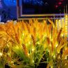 Solar Powered Ground Mounted Light Ground Plug Wheat Ear Light Solar Powered Light  Garden Lighting
