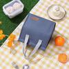 Double Handle Insulated Lunch Bag—Portable, Large Capacity for Students & Office Workers