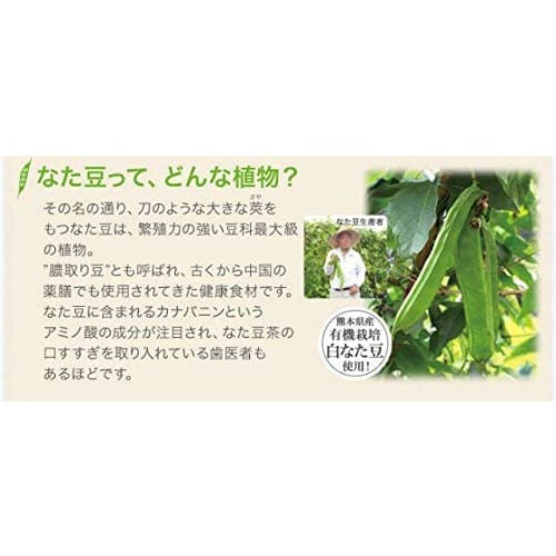 Ochamura Natamame Salt Toothpaste Plus, 100g, for Bad Breath, Gum Care, and Lactoferrin Toothpaste