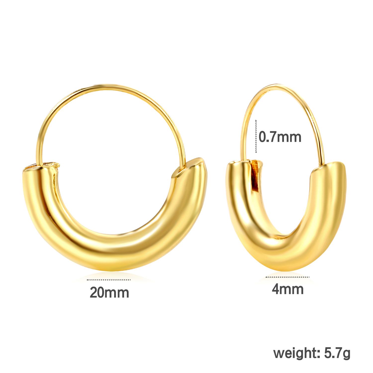 

Simple Luxury Round Hoop Pendant Earrings, Stainless Steel with 18K Gold Plating, INS Style Everyday Wear Jewelry for Women