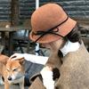 Elegant Woolen Bucket Hat Bowknot Wool Fisherman Hat Retro Hepburn Style Topper Hat  Outdoor