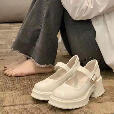 Mary Jane Small Leather Shoes Female White Platform French Gentle Fairy With Skirt Thick Heel Single Shoes