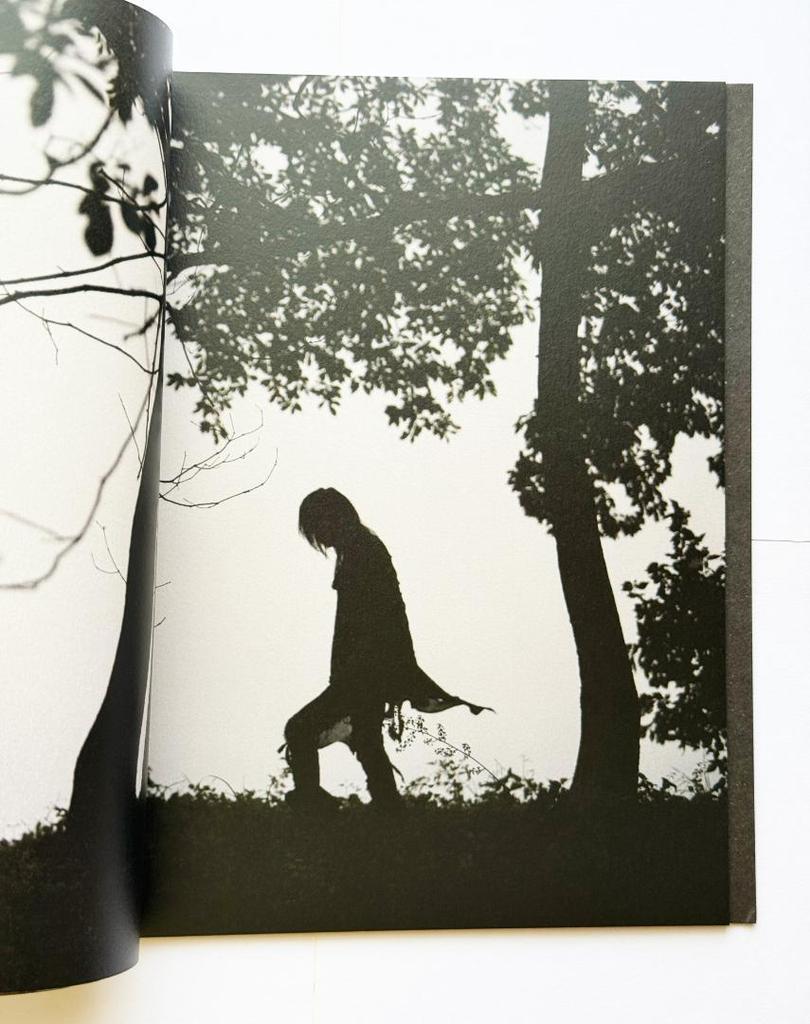 [USED] Alfred Bannister / Art Book