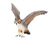Mojo American Eagle Owl Figure 387284