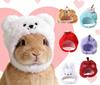 Gatos – Roupa para gatos