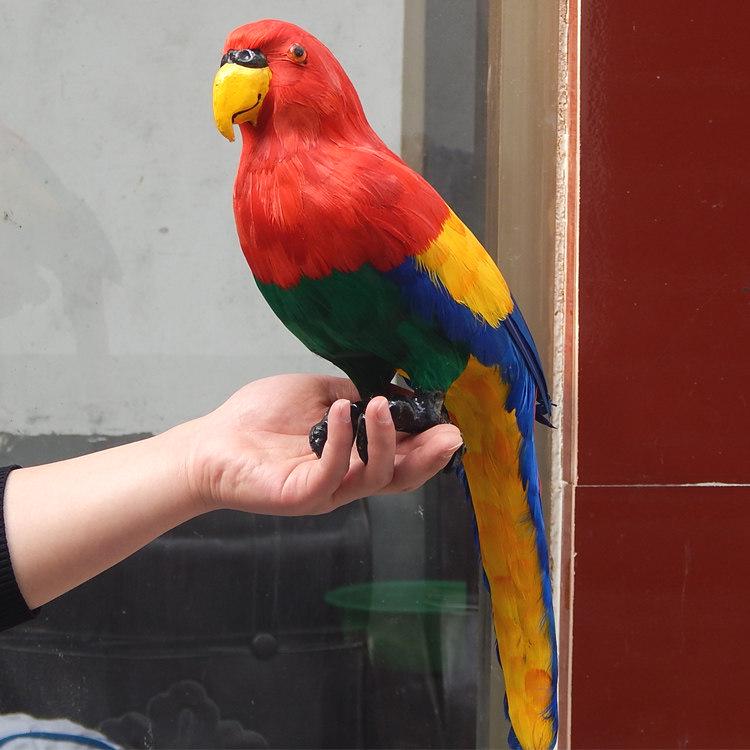 Colorful Large Parrot Decorative Ornament with Feathers