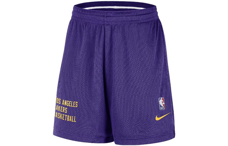 Баскетбольные шорты Nike Los Angeles Lakers Мужские Фиолетовые по всей поверхности DX9700-504 S