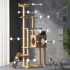 Jingzhou Multi-Level Cat Tree & Activity Center