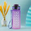 BPA Free Frosted Gradient Water Bottle with Straw – Portable Bounce Cup for Students