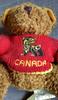 [USED] Northwest Coast Canadian Indian Bear Cub Teddy Bear