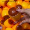 Food-Shaped Stress Ball Toast Squishy Toy Moldable Non-Bounce Squeeze Ball Asmr Sensory Anti Stress Fidget Toys For Kids Adult