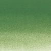 Watercolor Paint - Sennelier - 10ml Tube S3 - Chrome Oxide Green (815) - High Quality - Mixed
