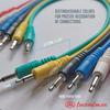 AxcessAbles 1/8" (3.5mm) TS Unbalanced Mono Patch Cables | Modular Synth Cords | TS Audio Cables | Eurorack Synthesizer Multicolored AUX Cords, 6-Pack