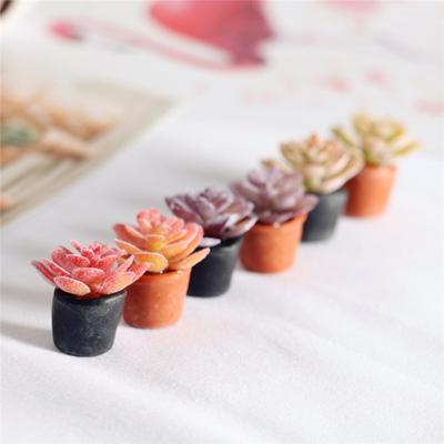 6 Stück Simulation Sukkulente Blumentopf Miniaturen Garten Puppenhaus Mikro Landschaft Dekoration Lebensechte Bunte Pflanzenfigur