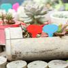 100pcs Garden Labels Plant Classification Sorting Sign Tag Ticket Plastic Writing Plate Board Plug In Card Colorful Garden Decor