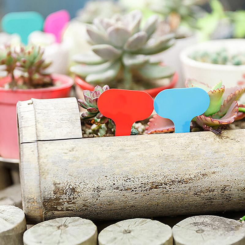 100pcs Garden Labels Plant Classification Sorting Sign Tag Ticket Plastic Writing Plate Board Plug In Card Colorful Garden Decor
