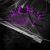 Furry Texture Halloween Light Up Spider Decoration Giant Spider Prop  Indoor Outdoor Decor