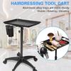 Carrello Portaoggetti da Salone/Estetica/Tatuaggi Regolabile - Portautensili a Rotelle