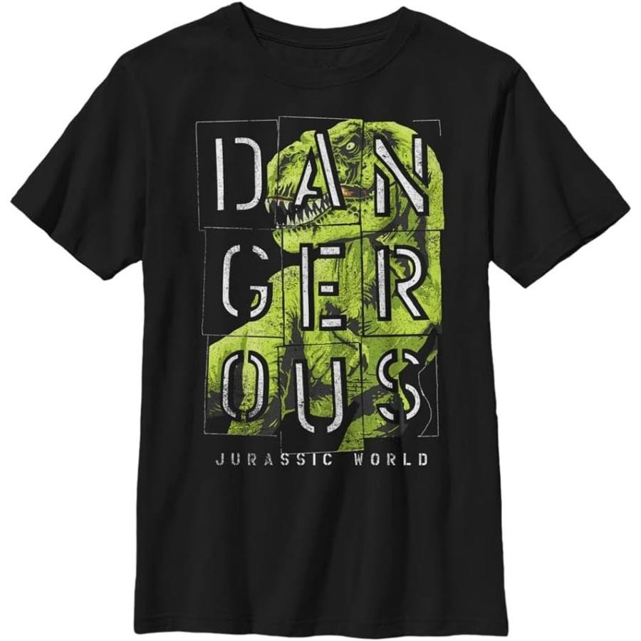 Jurassic World Dangur Boys Short Sleeve Tee Shirt XXXXXL разноцветный