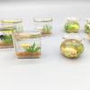 62KD Exquisite Mini Glass Fish Aquarium Scene Model for Dollhouse Collectors