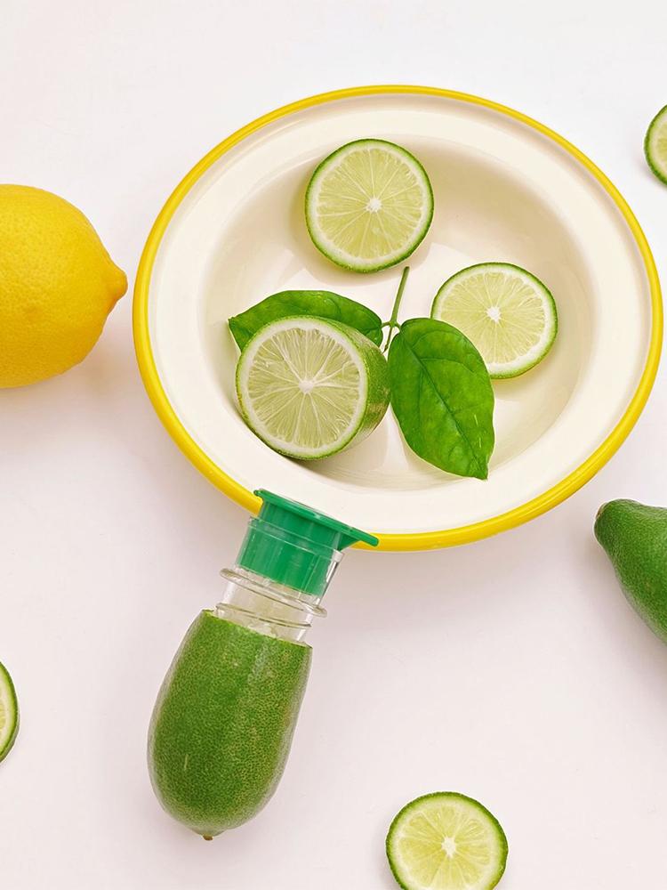 2pcs Manual Lemon Squeezer Easy To Clean Orange Squeezer Portable Citrus Juicer for Lemon Orange Limes Citrus