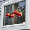 Watercolor Strawberry Static Cling Glass Sticker for Kitchen Living Room Bedroom Wall Decor
