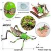 4D Insect Model Toy Set: Ladybug, Stag Beetle, Centipede, Ant, Fly, Mantis