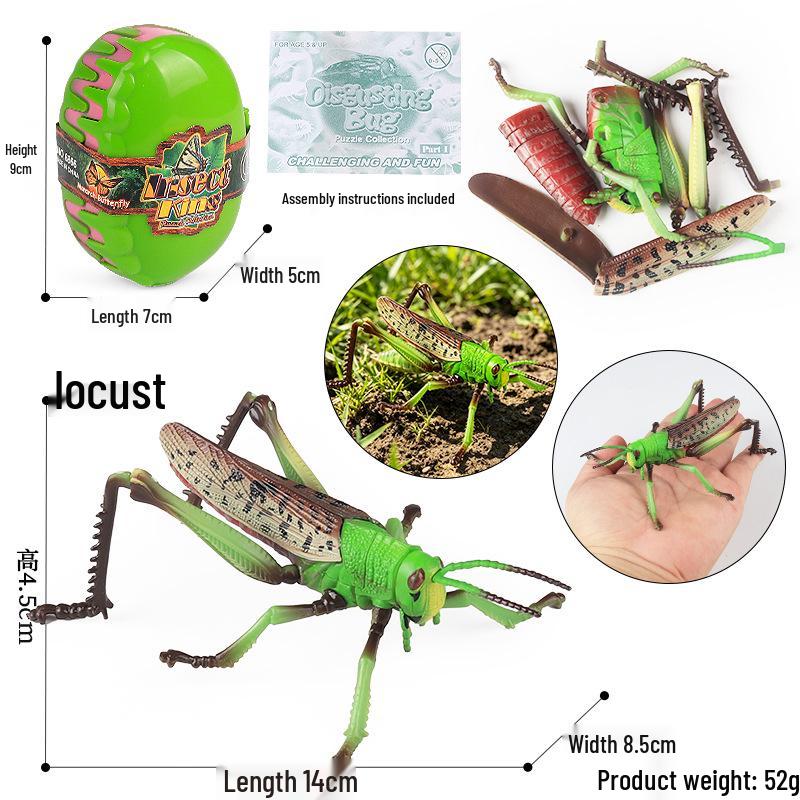 4D Insect Model Toy Set: Ladybug, Stag Beetle, Centipede, Ant, Fly, Mantis
