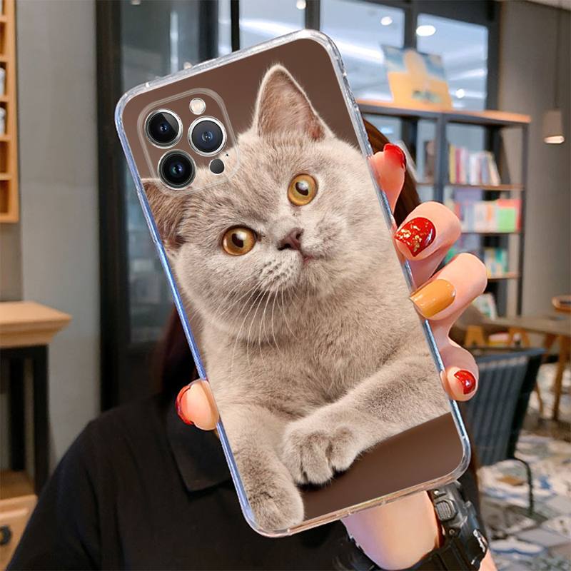 Britská krátkosrstá kočka Pouzdro na telefon pro iPhone 14 13 12 11 Pro Max XS X XR SE 2020 6 7 8 Plus Mini průhledné pouzdro