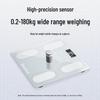 Aibeili Digital Body Fat Scale (CN Version)