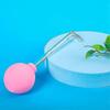 Tonsil Stone Remove Tool Manual Style Cleaner Oral Care - PR