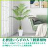 Artificial House Fake Tropical Palm Artificial House Air Inches Plants, Green, Trees, Flowers, Trees, Photocatalyst, Purifier, Deodorizer,