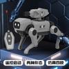 Educational Remote Control Robot Dog Toy for Kids DIY Assembled Walking Mechanical Dog Toy Gift for Kindergarten And Students