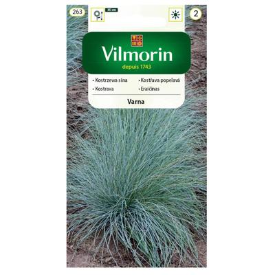 Kostrava sivá 0,4g semienka -