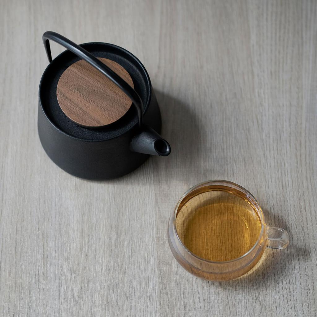 Ikenaga Iron Works Teapot Nanbu Ironware Made In Japan Tetu 0.56L