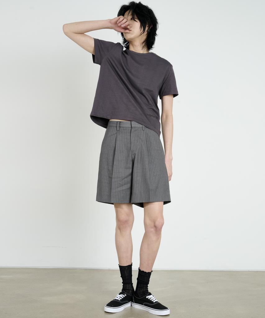 DUSTYWHITE Gray Pinstripe Shorts