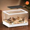 Large Lizards Habitat Box Featuring Ventilated Cover and Detachable Waste Tray For Home Use