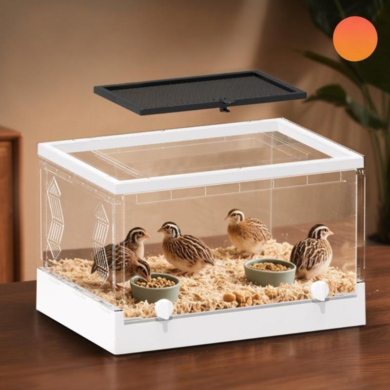 Large Lizards Habitat Box Featuring Ventilated Cover and Detachable Waste Tray For Home Use