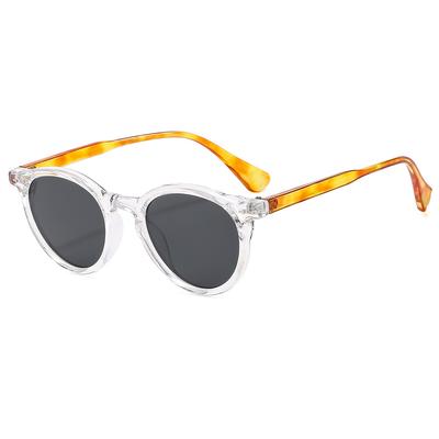 Brillen en accessoires – Zonnebrillen